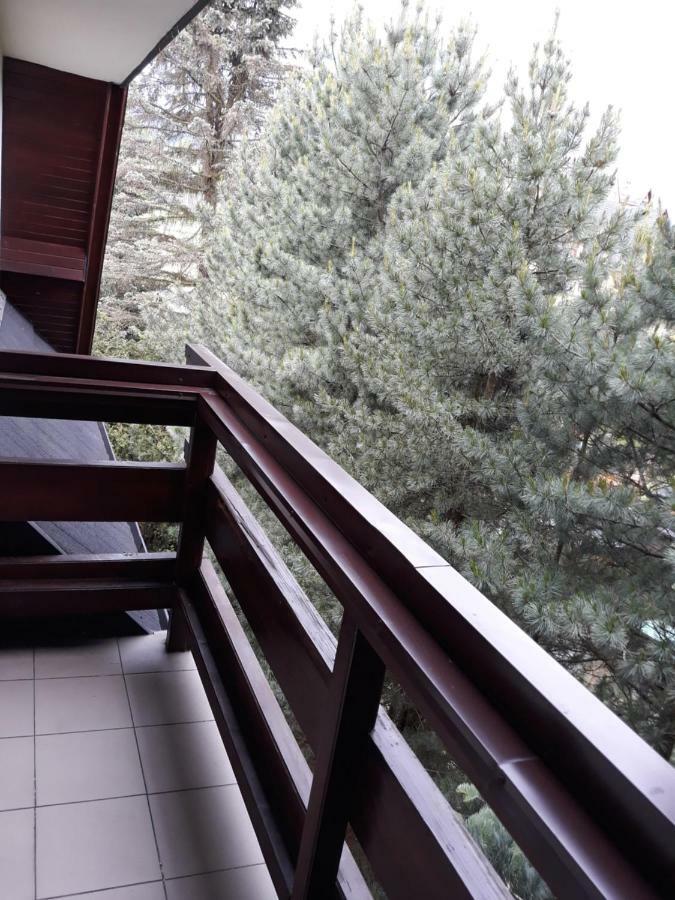 Willa Sichla Murzasichle Appartement Buitenkant foto