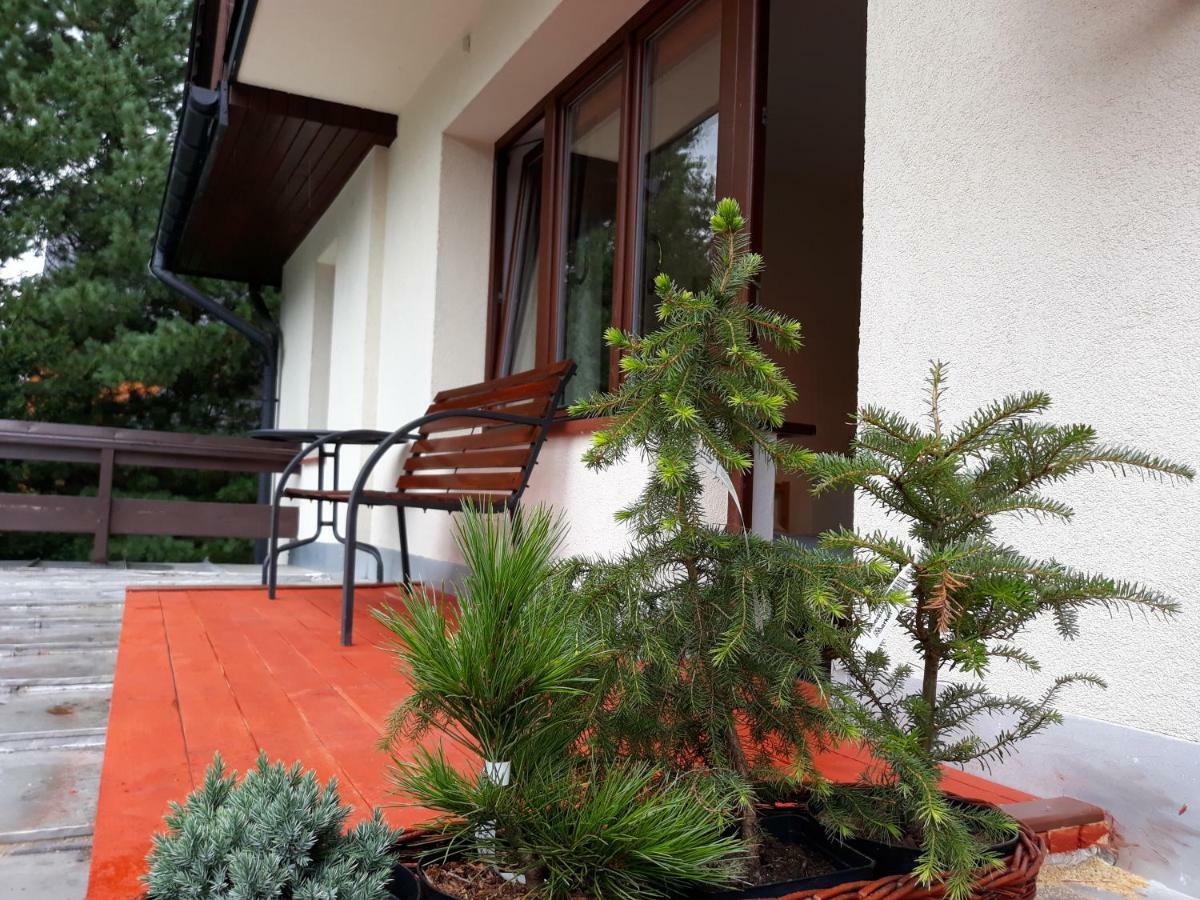 Willa Sichla Murzasichle Appartement Buitenkant foto