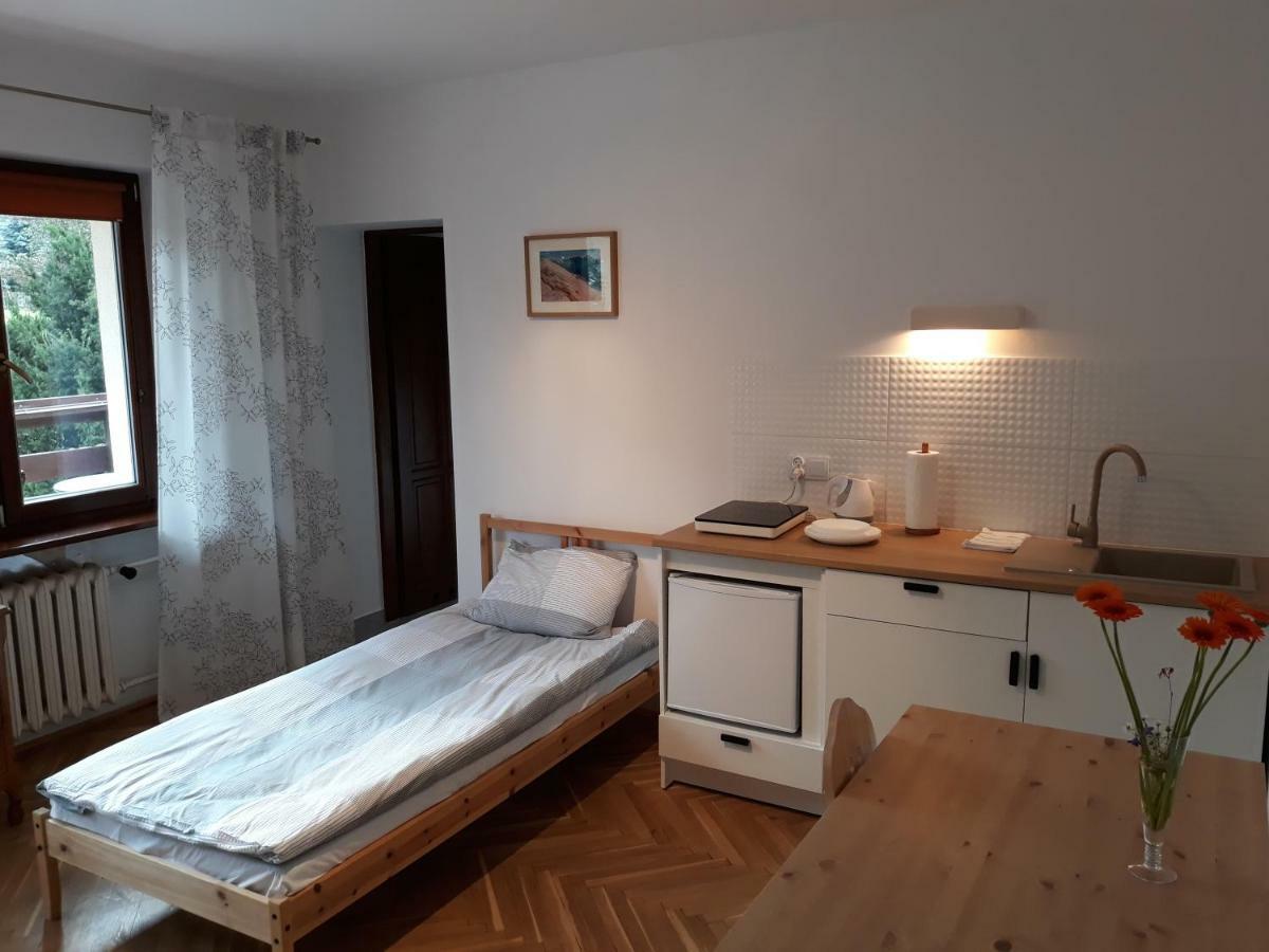 Willa Sichla Murzasichle Appartement Buitenkant foto